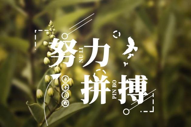  給我一份信任，還你10分滿意(圖3)